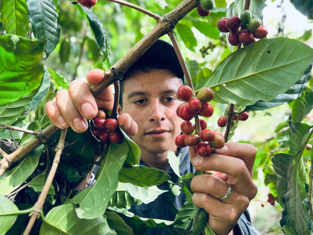 Eje Servicios Productivos Ambientales