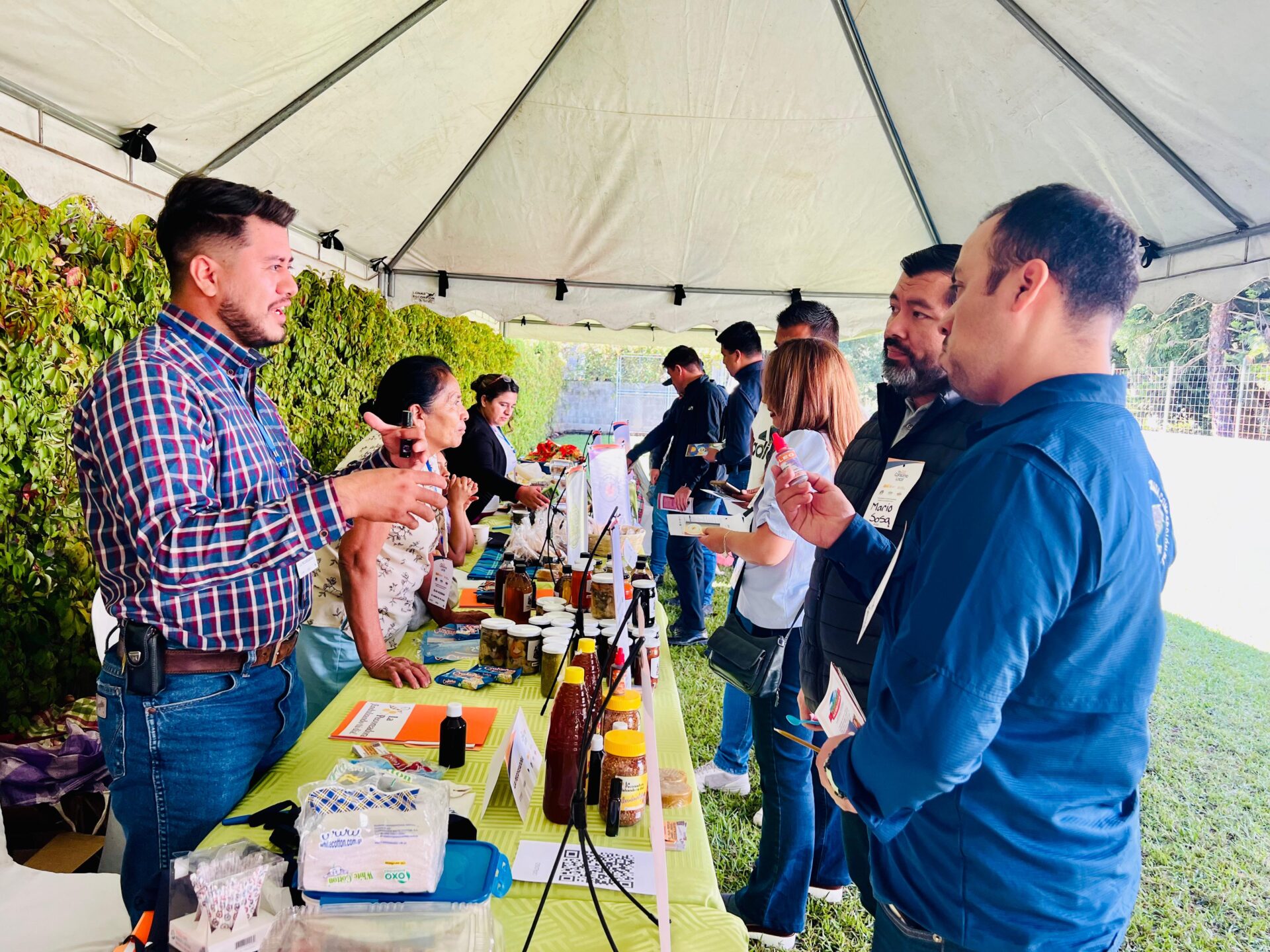 Eje Servicio Desarrollo Economico Empresarial